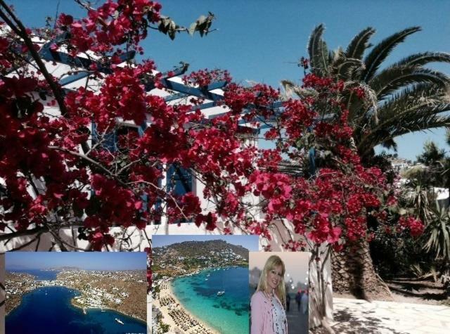 Prázdninový dům Magical Ornos! House!beach 1' Walk-mykonos Town 2km Mykonos Town